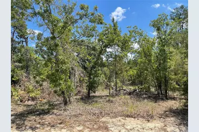 47 Lone Pine Street, Homosassa, FL 34446 - Photo 1