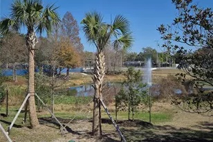 3312 E Ellicott St, Tampa, FL 33610 - Photo 20