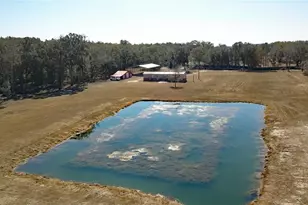 3623 E Whirlwind Path, Floral City, FL 34436 - Photo 46