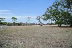 7230 Old Homestead Rd, New Port Richey, FL 34654 - Photo 96