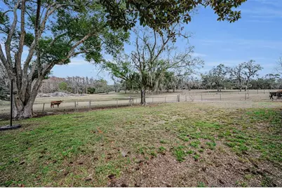 7230 Old Homestead Road, New Port Richey, FL 34654 - Photo 62