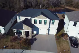 21397 Snowy Orchid Terrace, Land O Lakes, FL 34637 - Photo 4