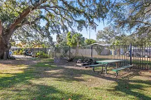 704 Lyndhurst St, Dunedin, FL 34698 - Photo 34