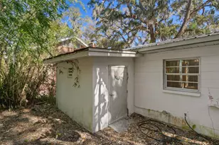 1409 E Park Cir, Tampa, FL 33604 - Photo 46