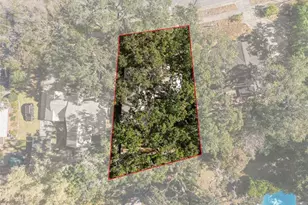 1409 E Park Cir, Tampa, FL 33604 - Photo 54