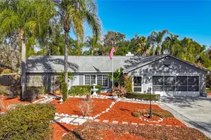 1822 Laurel Oak Dr, Valrico, FL 33596 - Photo 1