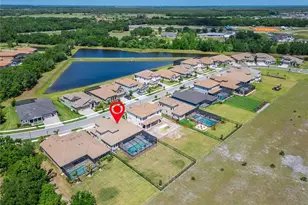 14239 Swiss Bridge Dr, Riverview, FL 33579 - Photo 68
