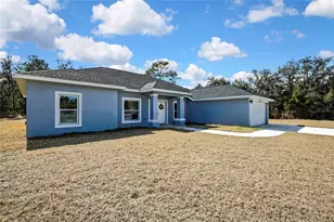 10262 Maybird Ave, Weeki Wachee, FL 34614 - Photo 50