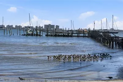 5343 6th Place S #35, Gulfport, FL 33707 - Photo 38