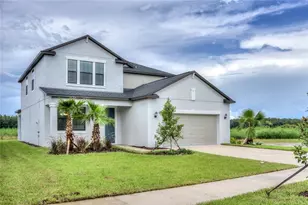 1172 Montgomery Bell Rd, Wesley Chapel, FL 33543 - Photo 2