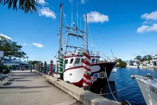 346 Moorings Cove Dr, Tarpon Springs, FL 34689 - Photo 58