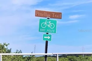 346 Moorings Cove Dr, Tarpon Springs, FL 34689 - Photo 50