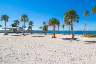 346 Moorings Cove Dr, Tarpon Springs, FL 34689 - Photo 60