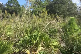 1604 Fifth Ave, Lehigh Acres, FL 33972 - Photo 2