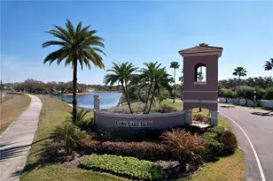 15246 Anguilla Isle Ave, Tampa, FL 33647 - Photo 8