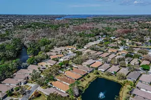 1527 Woodstream Dr, Oldsmar, FL 34677 - Photo 56