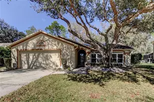 1795 Bayhill Dr, Oldsmar, FL 34677 - Photo 1