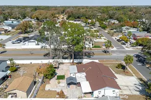 7008 Mintwood Ct, Tampa, FL 33615 - Photo 100