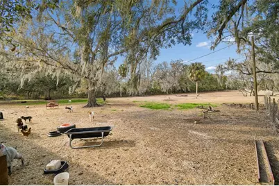 3009 Jim Johnson Road, Plant City, FL 33566 - Photo 58