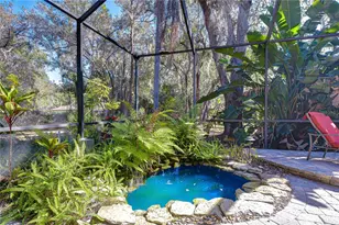 6020 Audubon Manor Blvd, Lithia, FL 33547 - Photo 36