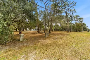 3906 Fox Ridge Blvd, Wesley Chapel, FL 33543 - Photo 46