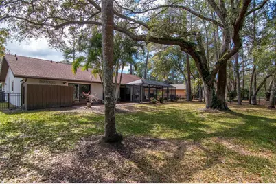 2240 Toniwood Lane, Palm Harbor, FL 34685 - Photo 38
