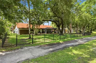 2240 Toniwood Ln, Palm Harbor, FL 34685 - Photo 44