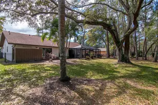 2240 Toniwood Ln, Palm Harbor, FL 34685 - Photo 40