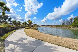 29563 Velletri Ln, Wesley Chapel, FL 33543 - Photo 54