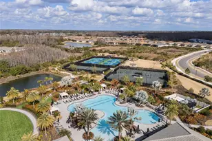 29563 Velletri Ln, Wesley Chapel, FL 33543 - Photo 40