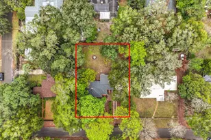 1013 NW 15 Ave, Gainesville, FL 32601 - Photo 4