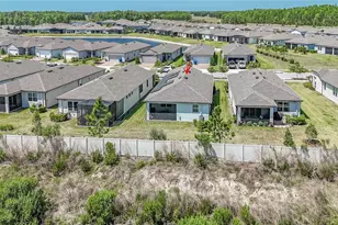 5981 Shorebird Br, Land O Lakes, FL 34638 - Photo 4