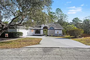 17 Longleaf Ct, Homosassa, FL 34446 - Photo 2