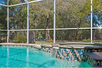 10501 Cyndee Lane, Odessa, FL 33556 - Photo 40