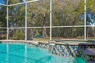 10501 Cyndee Ln, Odessa, FL 33556 - Photo 40