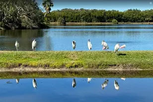 6499 99th Way N, Saint Petersburg, FL 33708 - Photo 78