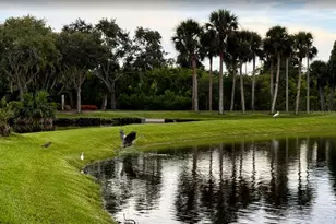 6499 99th Way N, Saint Petersburg, FL 33708 - Photo 84