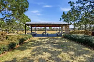 4011 Burdick Loop, Odessa, FL 33556 - Photo 58