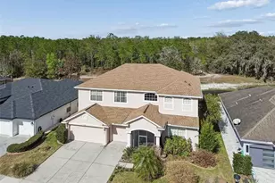 12918 Drakefield Dr, Spring Hill, FL 34610 - Photo 72