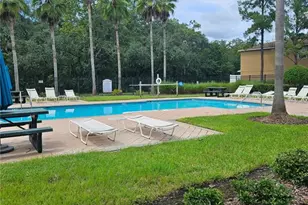4214 Winding River Way, Land O Lakes, FL 34639 - Photo 42