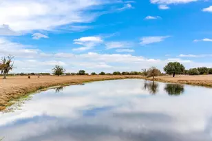 15721 Colding Loop, Wimauma, FL 33598 - Photo 62