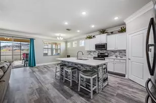 31364 Tansy Bnd, Wesley Chapel, FL 33545 - Photo 14