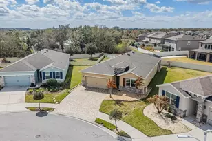 31364 Tansy Bnd, Wesley Chapel, FL 33545 - Photo 92