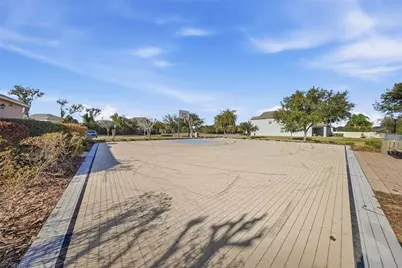 13917 Roseate Tern Lane, Riverview, FL 33579 - Photo 48