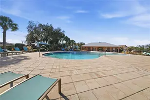 13917 Roseate Tern Ln, Riverview, FL 33579 - Photo 46