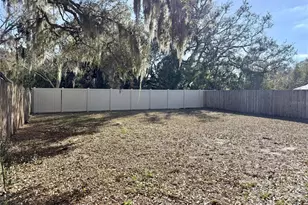 10233 Allenwood Dr, Riverview, FL 33569 - Photo 28