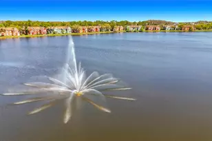 9068 Lake Chase Island Way, Tampa, FL 33626 - Photo 4