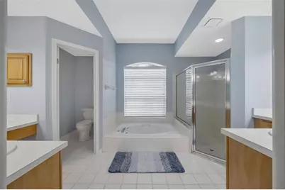 28703 Crooked Stick Court, Wesley Chapel, FL 33543 - Photo 36