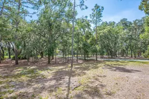 11832 Neal Rd, Lithia, FL 33547 - Photo 84