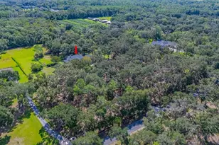 11832 Neal Rd, Lithia, FL 33547 - Photo 62